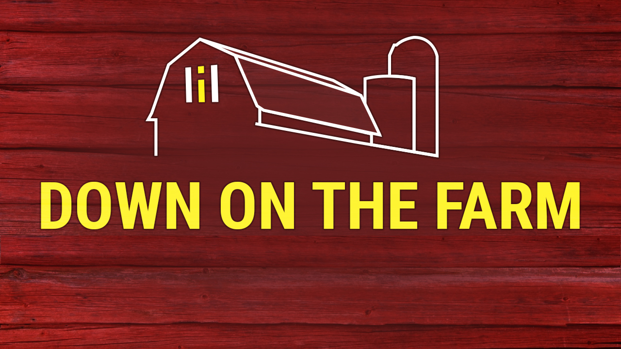 DOWN ON THE FARM